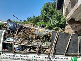 Best Hoarding Cleanup  in Plymouth, IN